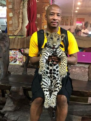 Antwon Tanner carrying a baby jaguar 